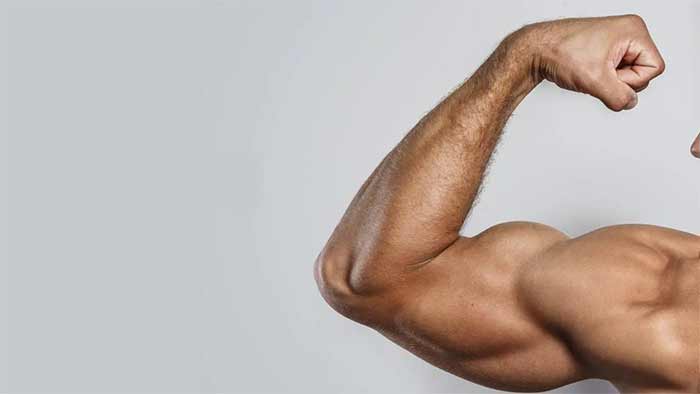 آموزش تمرین جلو بازو در خانه با دمبل