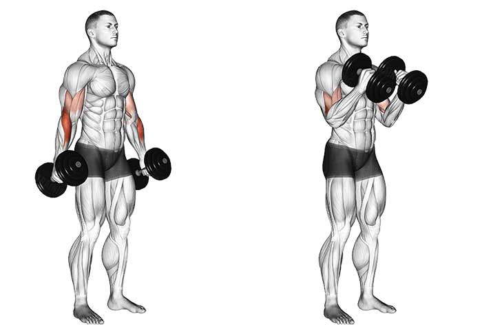 جلو بازو چکشی