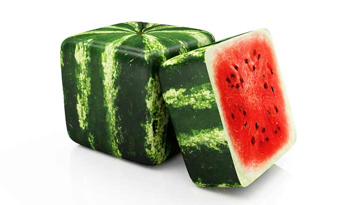 هندوانههای مربعی برای یخچال.