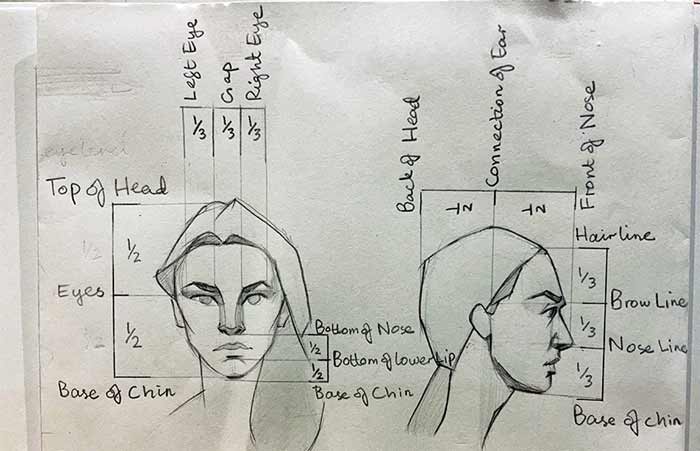 تقسیم صورت به سه بخش مساوی (قاعده سهسوم)