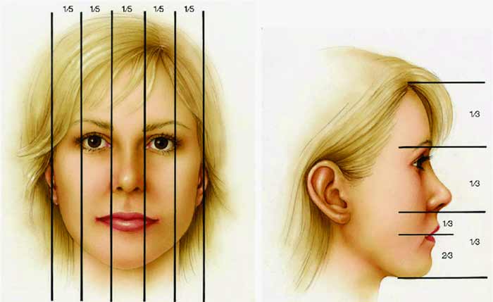 تناسب عرض صورت (قاعده پنج چشم)