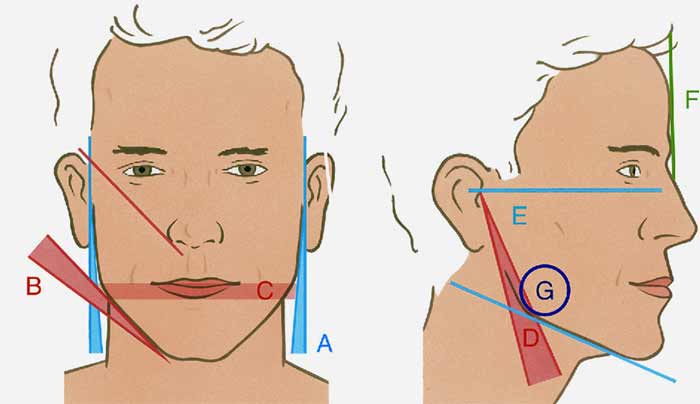زاویه فک و خط چانه